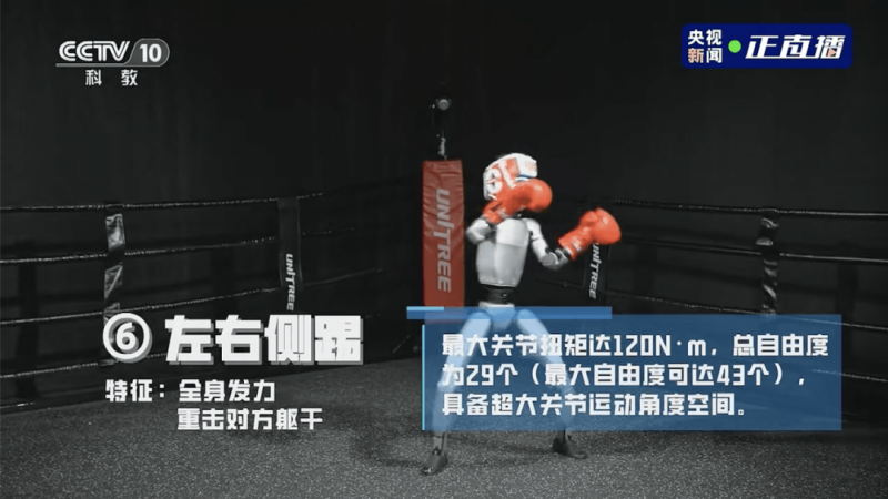 北京大学博雅讲席教授朱良志来枞考察
