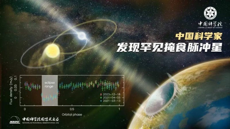 雍容气质，羽翼为徽