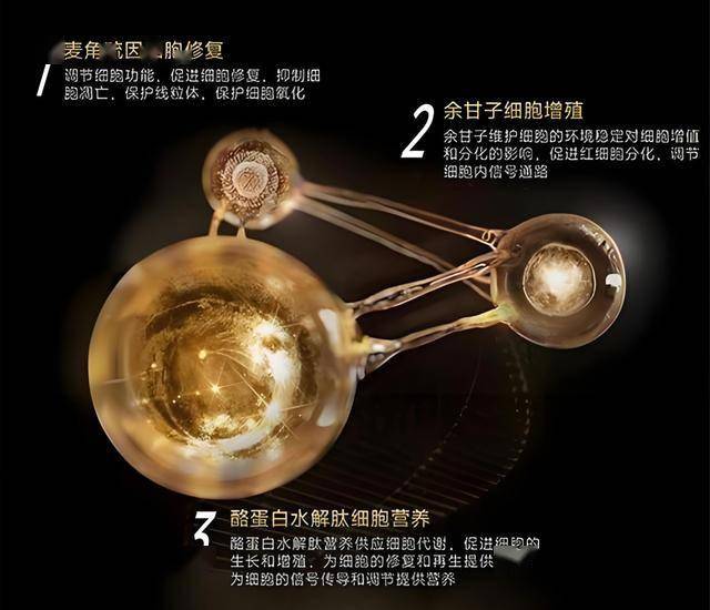 新版《神之水滴》开播：葡萄酒剧集魅力再现