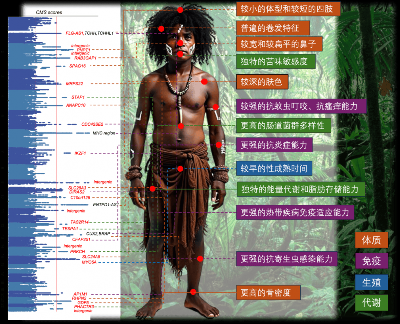 2019索尼亚庄园：大宝同门，科迪埃家族又一力作